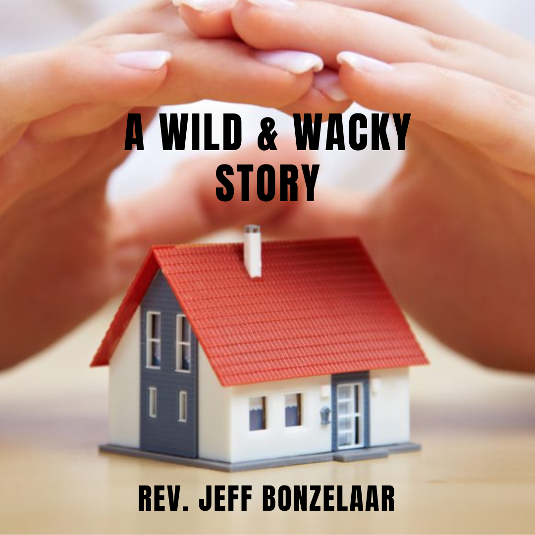 A Wild & Wacky Story